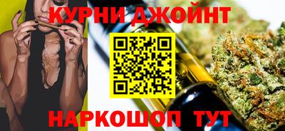 шишки Обь