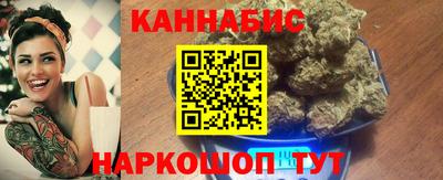 шишки Обь