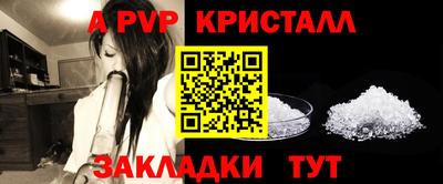 шишки Обь