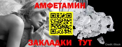 шишки Обь