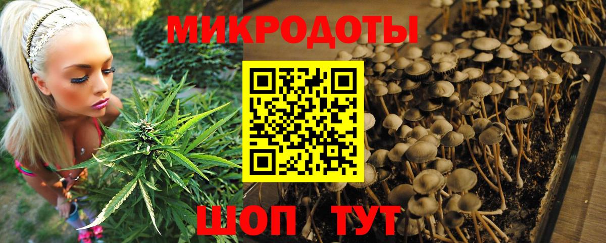 Галлюциногенные грибы мухоморы  Псилоцибиновые грибы Psilocybe  Славгород  Вход с VPN 